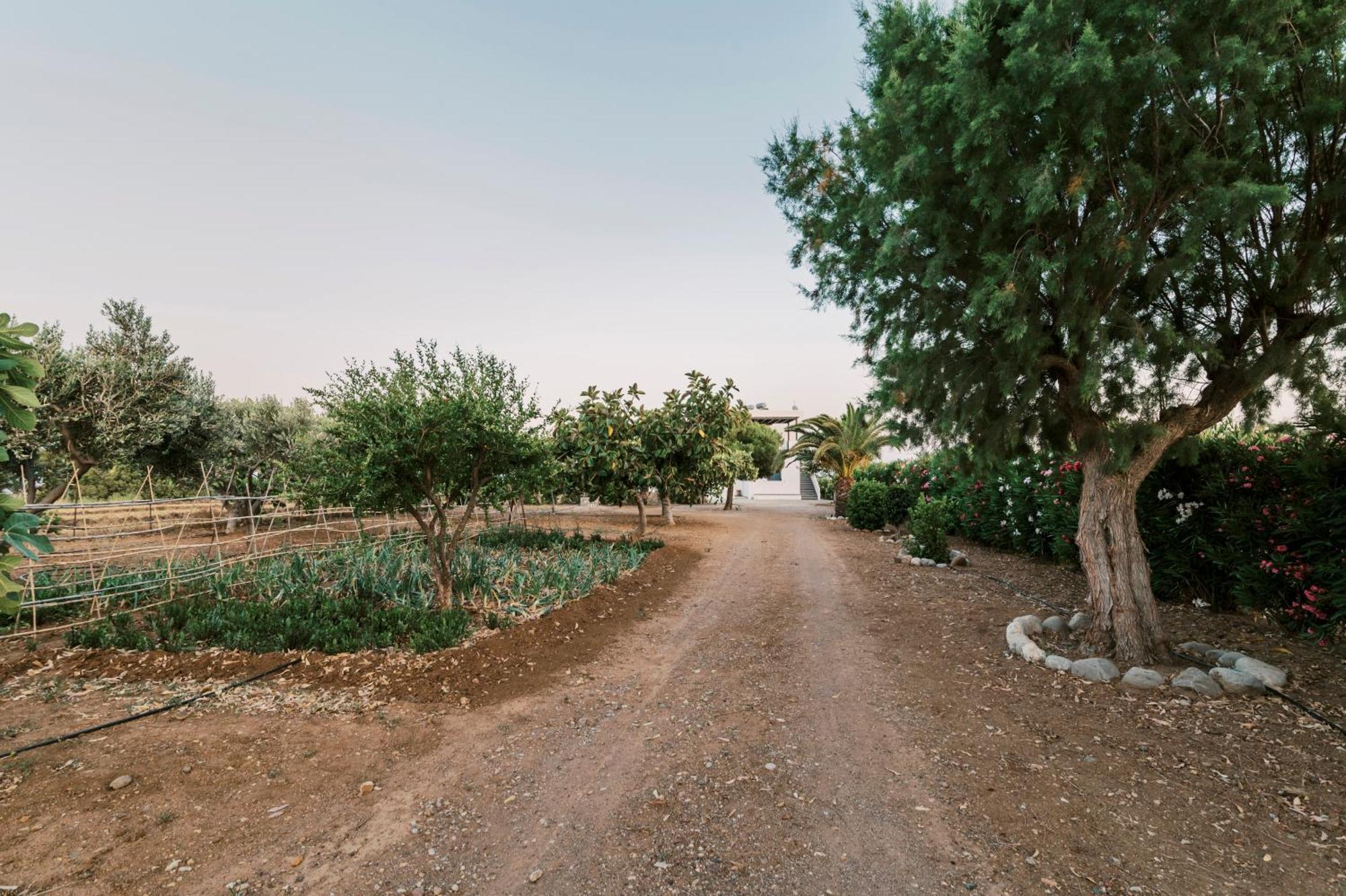 Villa Deep Blue Lachania  Exterior photo