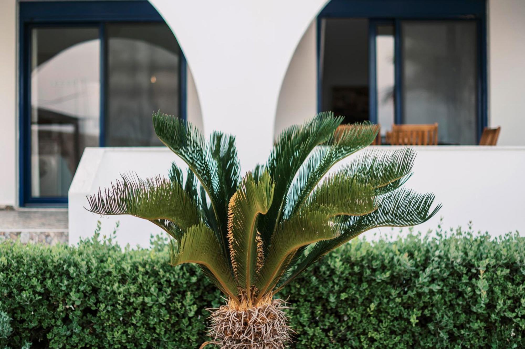 Villa Deep Blue Lachania  Exterior photo